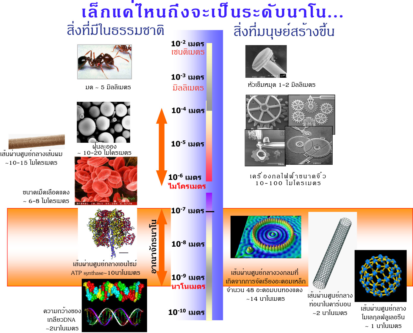 http://www.nanotec.or.th/th/wp-content/uploads/2011/05/Nano-size1.jpg