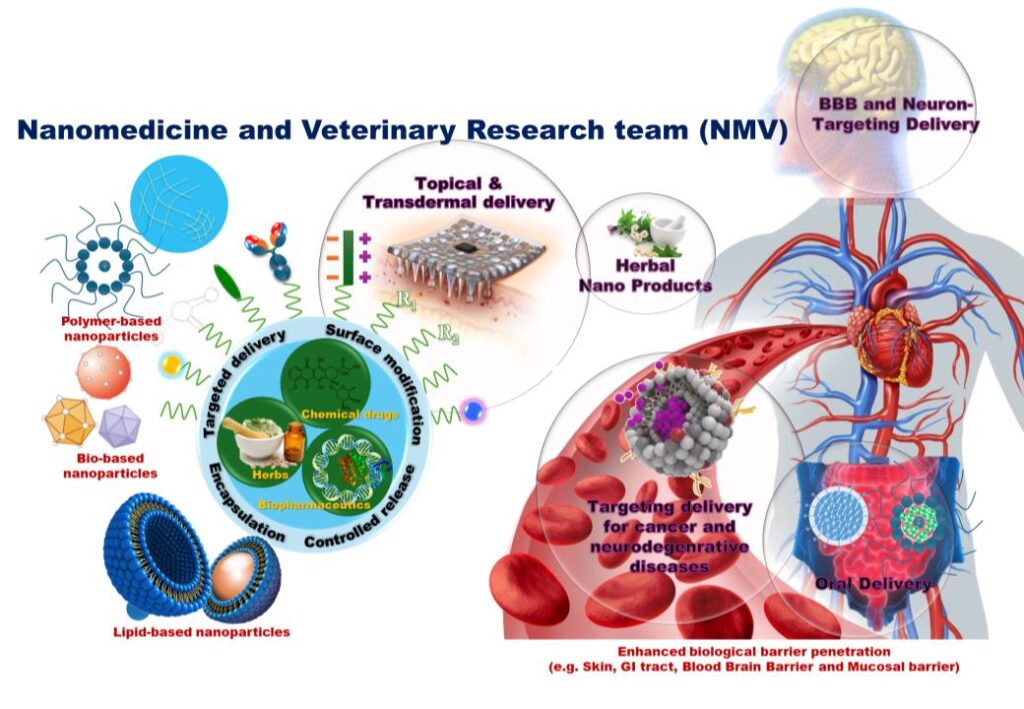 Nanomedicine and Veterinary Research Team